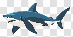 Shark - Great White Shark In Cartoon Style Transparent PNG