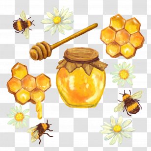 Honeycomb Nectar - Fruit - Vector Honey Cans Transparent PNG