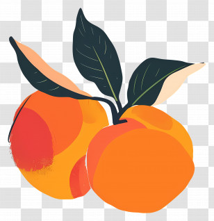 Peaches - Artistic Illustration Of Peaches Transparent PNG