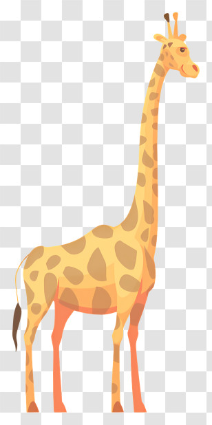 Giraffe - Cute Giraffe Illustration With Simplified Design Transparent PNG