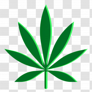 Cannabis Leaf - Realistic Green Leaf Illustration Transparent PNG