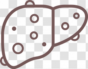 Liver - Outline Drawing Of Human Liver Transparent PNG