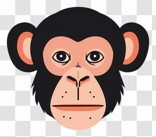 Monkey Head - Monkey Face Cartoon Illustration Transparent PNG