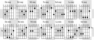 Area Rectangle Square - Flower - Guitarist Transparent PNG
