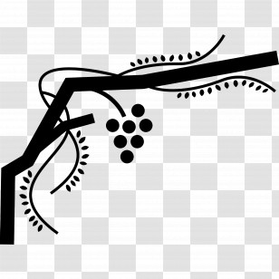 Grape Vine - Grapevine Silhouette Transparent PNG