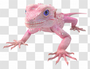 Pink - Cute Pink Lizard With Big Eyes Transparent PNG