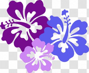 hawaiian flower png images transparent hawaiian flower images hawaiian flower png images transparent