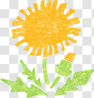 Icon - Yellow Dandelion Flower Transparent PNG