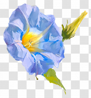 Oil Painting - Morning Glory Flower In Blue Transparent PNG