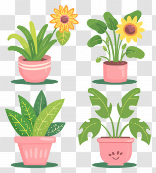Potted Plants - Cute Potted Plants Illustration For Home Decoration Transparent PNG