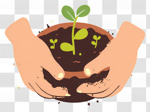 Hand Holding Plant - Nurture Sapling In Hands Art Transparent PNG