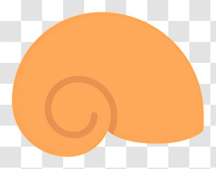 Seashell Icon - Orange Seashell Icon Illustration Transparent PNG