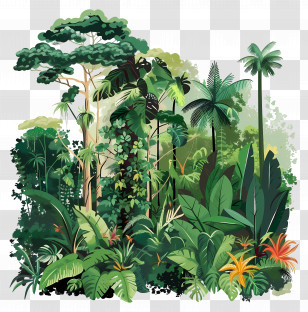 Rainforest - Lush Tropical Jungle Illustration Transparent PNG