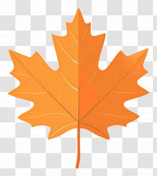 Autumn Maple Leaf - Bright Orange Maple Leaf Illustration Transparent PNG