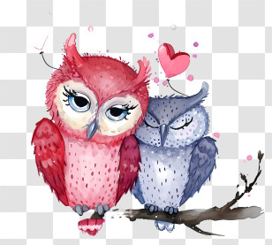 Watercolor Valentine Owl - Romantic Owl Couple On Tree Branch Transparent PNG