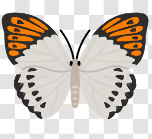 Bug - Monarch Butterfly Illustration With Orange Wings Transparent PNG