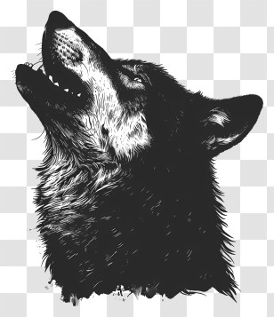 Wolf Silhouette - Black And White Wolf Artistic Illustration Transparent PNG