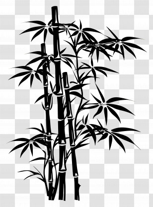 Bamboo - Black Bamboo Illustration Transparent PNG
