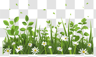 Spring Grass Flower Border - Green Grass And Daisies For Natural Themes Transparent PNG