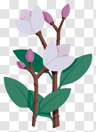 White Flower Plant - White Flowers With Green Leaves Transparent PNG