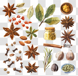 Spices - Assorted Aromatic Spices And Culinary Herbs Transparent PNG