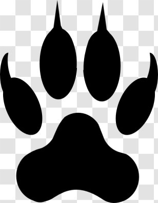 Lion Tiger Liger Paw Clip Art - Big Cat - Wolf Transparent PNG