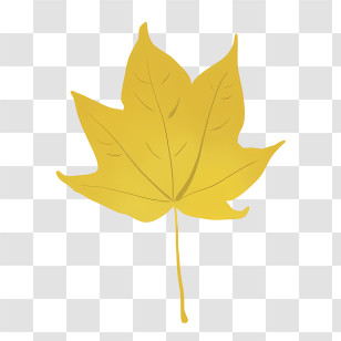 Icon - Yellow Maple Leaf Decoration Transparent PNG