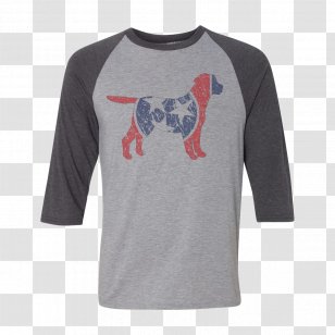 Long-sleeved T-shirt Raglan Sleeve - Fond Du Lac Dock Spiders Transparent PNG