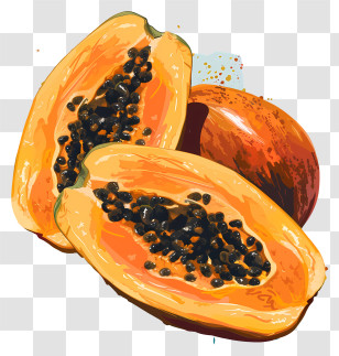 Papayas - Papaya With Seeds - Tropical Fruit Illustration Transparent PNG