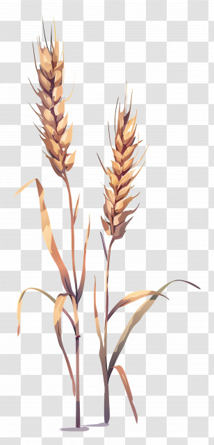 Wheat - Hand-Drawn Wheat Stalks Illustration In Artistic Style Transparent PNG