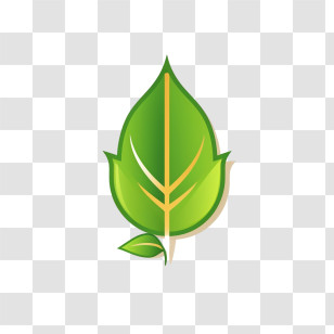 Green Energy - Green Leaf Graphic Illustration Transparent PNG