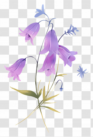Watercolor Wildflower - Purple Bell Flowers Illustration Transparent PNG