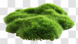 Grass Ground - Lush Green Grass Clump - Natural Landscape Element Transparent PNG