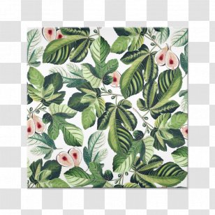 Art Paper Quadro Fruit - Curtain - Watercolor Fruits Transparent PNG