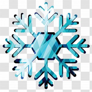 Snowflake Euclidean Vector - Symmetry - Three-dimensional Mirror Transparent PNG
