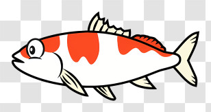 Cartoon - Cartoon Koi Fish Drawing Transparent PNG