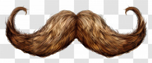 Moustache - Brown Curly Mustache Transparent PNG