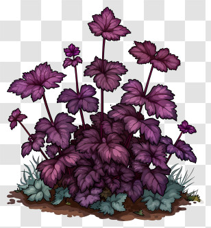 Crevice Alumroot - Purple Plant With Leaves Transparent PNG