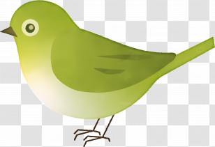 Cartoon Bird - Minimalist Green Bird Illustration Transparent PNG