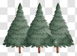 Fir Trees - Illustration Of Three Pine Trees Transparent PNG