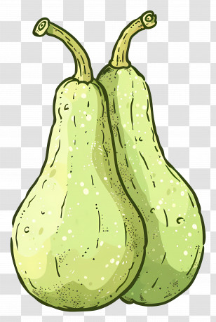 Two Green Bottle Gourds - Two Fresh Bottle Gourds Illustration Transparent PNG