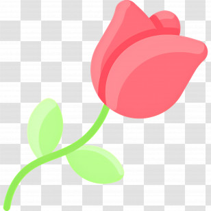 Rose Flower - Pink Rose Illustration With Green Leaves Transparent PNG