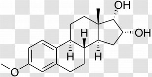 Polyestradiol Phosphate Estrogen Estrone Ethinylestradiol - Paper - Atc Code V09 Transparent PNG