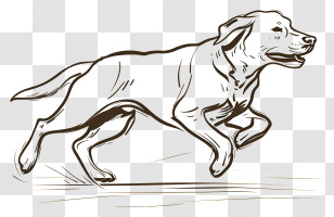 One Line Dog - Running Dog Sketch Illustration Transparent PNG