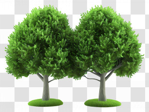 Green Trees - Pair Of Green Trees Transparent PNG