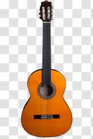Ukulele Classical Guitar Cordoba C7 Musical Instruments - Acoustic Electric Transparent PNG