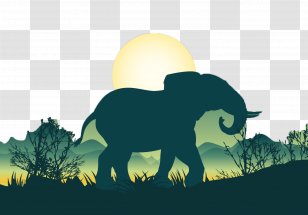 African Elephant Bear Silhouette Illustration - Sunset Elephants Transparent PNG