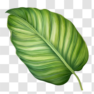 Tropical Leaf - Green Banana Leaf Transparent PNG