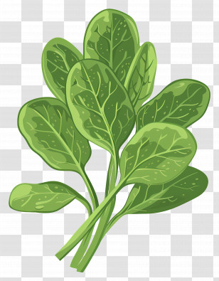 Spinach - Fresh Green Spinach Leaves Illustration Transparent PNG