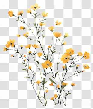Yellow Flowers - Yellow Floral Illustration In Artistic Style Transparent PNG